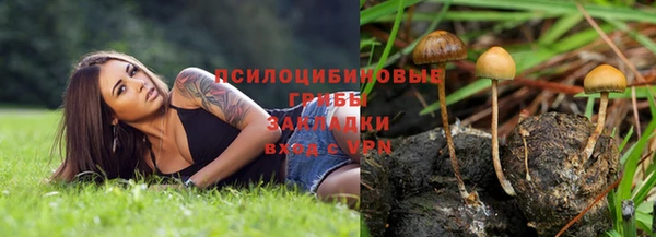 COCAINE Алексеевка