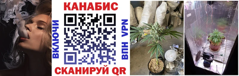 Конопля Bruce Banner  Рославль 